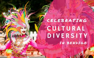 Zinda Celebrating Cultural Diversity